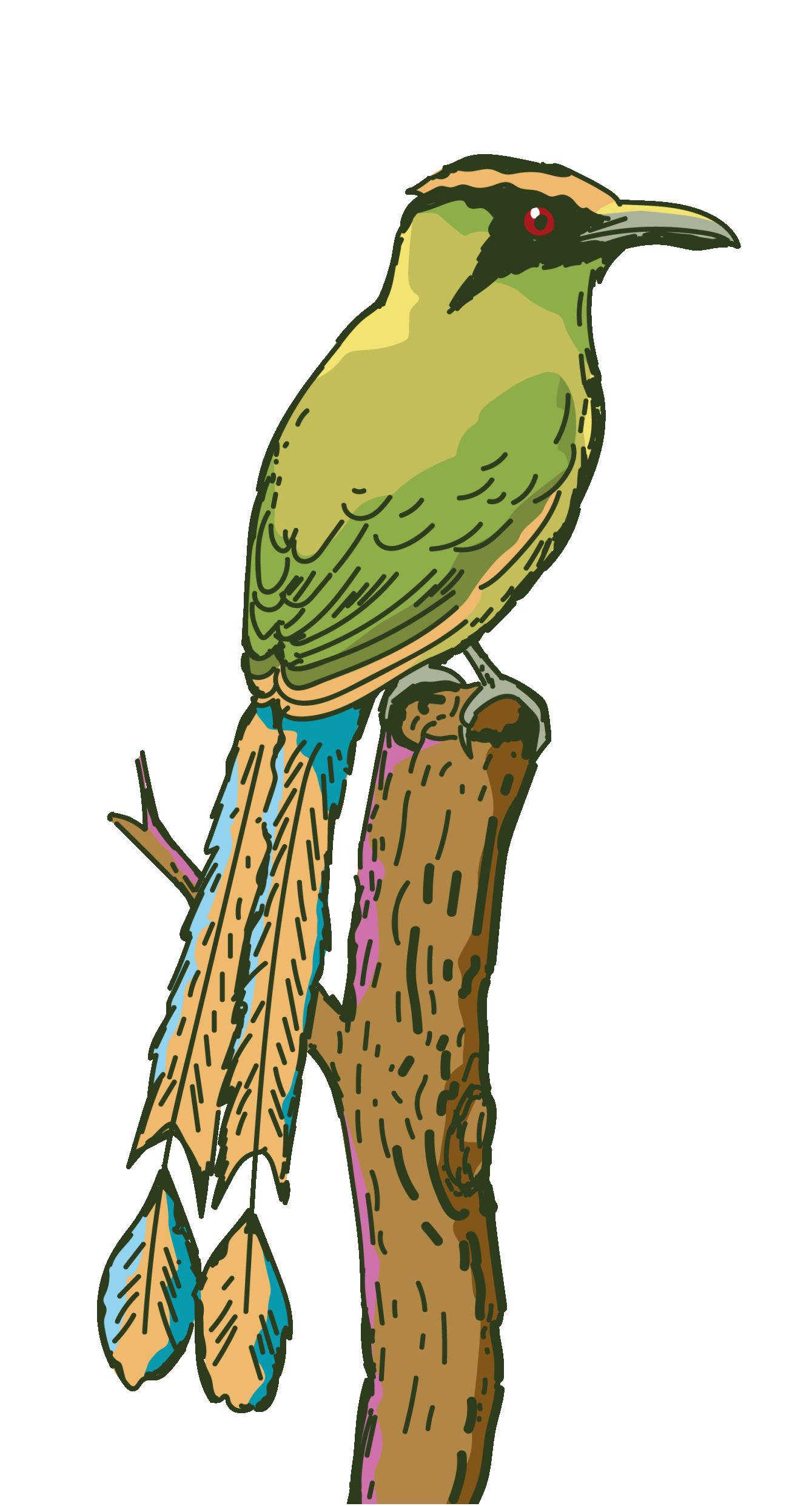 Ilustración ave sobre tronco